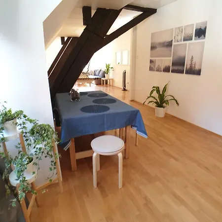 Apartments Mi Casa 6